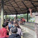 햇빛농장 | 마이애미 에버글레이즈 악어 농장 투어 완벽 가이드 – 위치·운영시간·에어보트 체험 후기