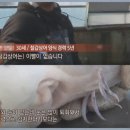 상어식당 이미지