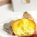 포테니언 이미지