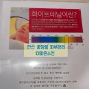 대동찜질사우나 | 안산 중앙동 피부관리【더맑은스킨안산중앙】호박필링관리와 화이트태닝의 콜라보효과 안산중앙역피부관리