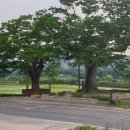 원삼공인중개사사무소 이미지