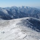 청송꽃돌 이미지