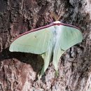 사시골천 이미지