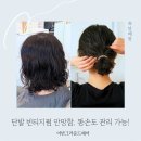 헤어담당 | 똥손 가능 단발 빈티지펌 웻헤어 관리 상왕십리 미용실 어반그라운드헤어 후기