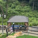 사재산마을 이미지