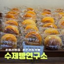 고르다 수제간식 | 아산 온천동 베이커리 카페 맛과 가성비 좋은 수제빵연구소 솔직후기