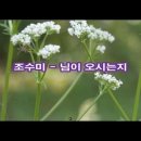 님이 오시는지 ( 바람이 이-네) 이미지