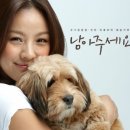 순심이 동아일보