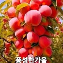 봄 여어어름 갈 겨어어어울