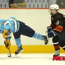 임진경 카카오 검색결과