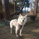 군산시-01219 이미지