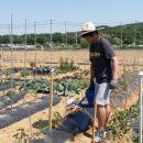 성운농장 이미지