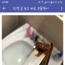 자르다 Daum카페