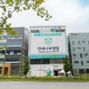 연세나무병원 이미지