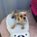 동명동주민센터 이미지