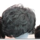하트모