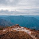 더 세리 호스텔 네이버블로그