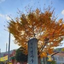 칠서면사무소 이미지