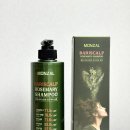 지성 | 몽잘 바리스칼프 로즈마리 샴푸 후기 지성두피 탈모샴푸추천