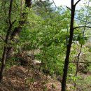 동촌1리 이미지