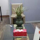 행정사제일합동사무소 이미지