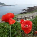 추자교량 이미지