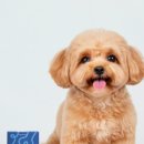 (주)메디플러스 이미지