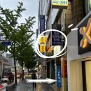 지리로 보는 세계사 | 부산 철학관 사주 궁합 보고 두번째 방문 [주평철학관] 결혼 택일 후기