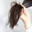 이수연헤어빛채 | 헤어에센스 추천 블라세아 아르간오일 퍼퓸 헤어세럼 남자펌 관리