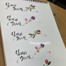 [3분기] 캘리그라피&수채 일러스트 이미지