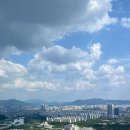 대전나무호텔 네이버블로그