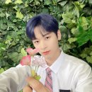 주연의꽃