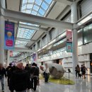 돈키호테 분식나라 | 아빠랑 싱가포르 자유여행: 인천 싱가포르 티웨이 TW161 좌석 기종 탑승후기, 편도예약 주의점