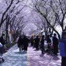 송정동-8 이미지