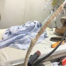 일진세탁소 이미지