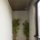 멀왓스테이 | 제주 서쪽 숙소 멀왓 스테이 왓3호 내돈내산 후기