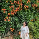 공원로352번길 이미지