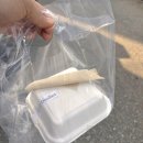 디스틸드 | 춘천 효자동 카페, 애견동반 가능 라떼 커피 디저트 맛집 디스틸드