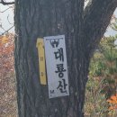 거창 대룡산 & 추모공원 국화관람회 이미지