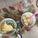 셀렉스플로 | [직장인 헬린이 바디프로필 도전기] 나도 드디어 첫 태닝..✌️ 저는 등신이 꿈입니다.(12주차, D-54~D-48)