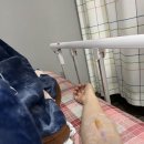박붕연내과의원 네이버블로그