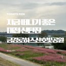 대덕구 산호빛 공원 | 대전 신탄진|핑크뮬리 금강로하스 산호빛공원