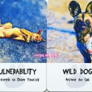 디바인독(DIVINE DOG) 이미지