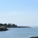 대평올레민박 | 제주 올레 9코스 (대평~화순) (2) / 제주 올레길 완주 후기