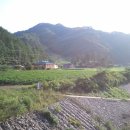 두메아리 이미지