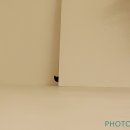 다람쥐풀스튜디오