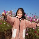 젊음과패기공원 Daum카페