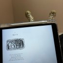 오렌지동물병원 | [임신일기]내가 임당이라니 ... 눈물의 아인병원 임당 재검 및 확진 후기