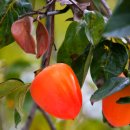 잘나가는사람들 이미지