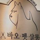 바오펫살롱 이미지